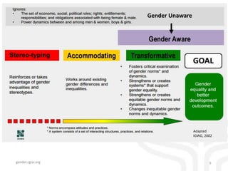 Reflections on gender transformative approaches in agriculture – The promise and cautionary tales