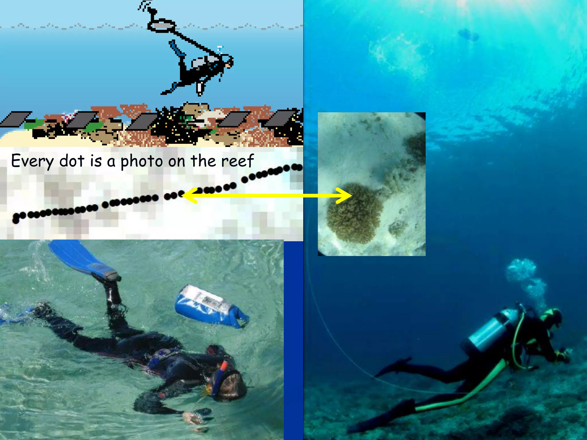 GPS towed
Every dot is a photo on the reef   by diver
 