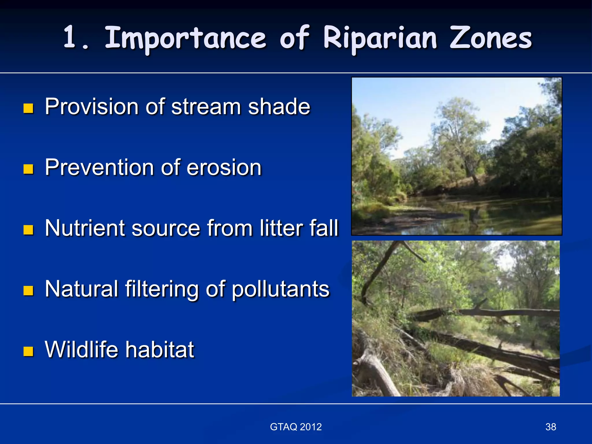 1. Importance of Riparian Zones

   Provision of stream shade

   Prevention of erosion

   Nutrient source from litter fall

   Natural filtering of pollutants

   Wildlife habitat


                            GTAQ 2012   38
 