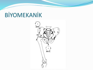 BİYOMEKANİK
 