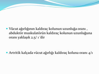  Vücut ağırlığının kaldıraç kolunun uzunluğa oranı ,
abduktör muskulatörün kaldıraç kolunun uzunluğuna
oranı yaklaşık 2,5/ 1 ‘dir
 Artritik kalçada vücut ağırlığı kaldıraç koluna oranı 4/1
 