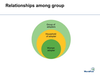 Relationships among group
 