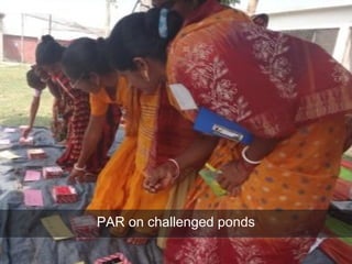 PAR on challenged ponds
 