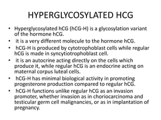 HYPERGLYCOSYLATED HCG
• Hyperglycosylated hCG (hCG-H) is a glycosylation variant
of the hormone hCG.
• it is a very different molecule to the hormone hCG.
• hCG-H is produced by cytotrophoblast cells while regular
hCG is made in syncytiotrophoblast cell.
• it is an autocrine acting directly on the cells which
produce it, while regular hCG is an endocrine acting on
maternal corpus luteal cells.
• hCG-H has minimal biological activity in promoting
progesterone production compared to regular hCG.
• hCG-H functions unlike regular hCG as an invasion
promoter, whether invasion as in choriocarcinoma and
testicular germ cell malignancies, or as in implantation of
pregnancy.

 