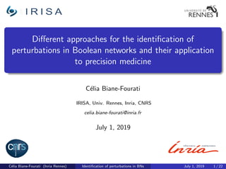 Diﬀerent approaches for the identiﬁcation of
perturbations in Boolean networks and their application
to precision medicine
C´elia Biane-Fourati
IRISA, Univ. Rennes, Inria, CNRS
celia.biane-fourati@inria.fr
July 1, 2019
C´elia Biane-Fourati (Inria Rennes) Identiﬁcation of perturbations in BNs July 1, 2019 1 / 22
 