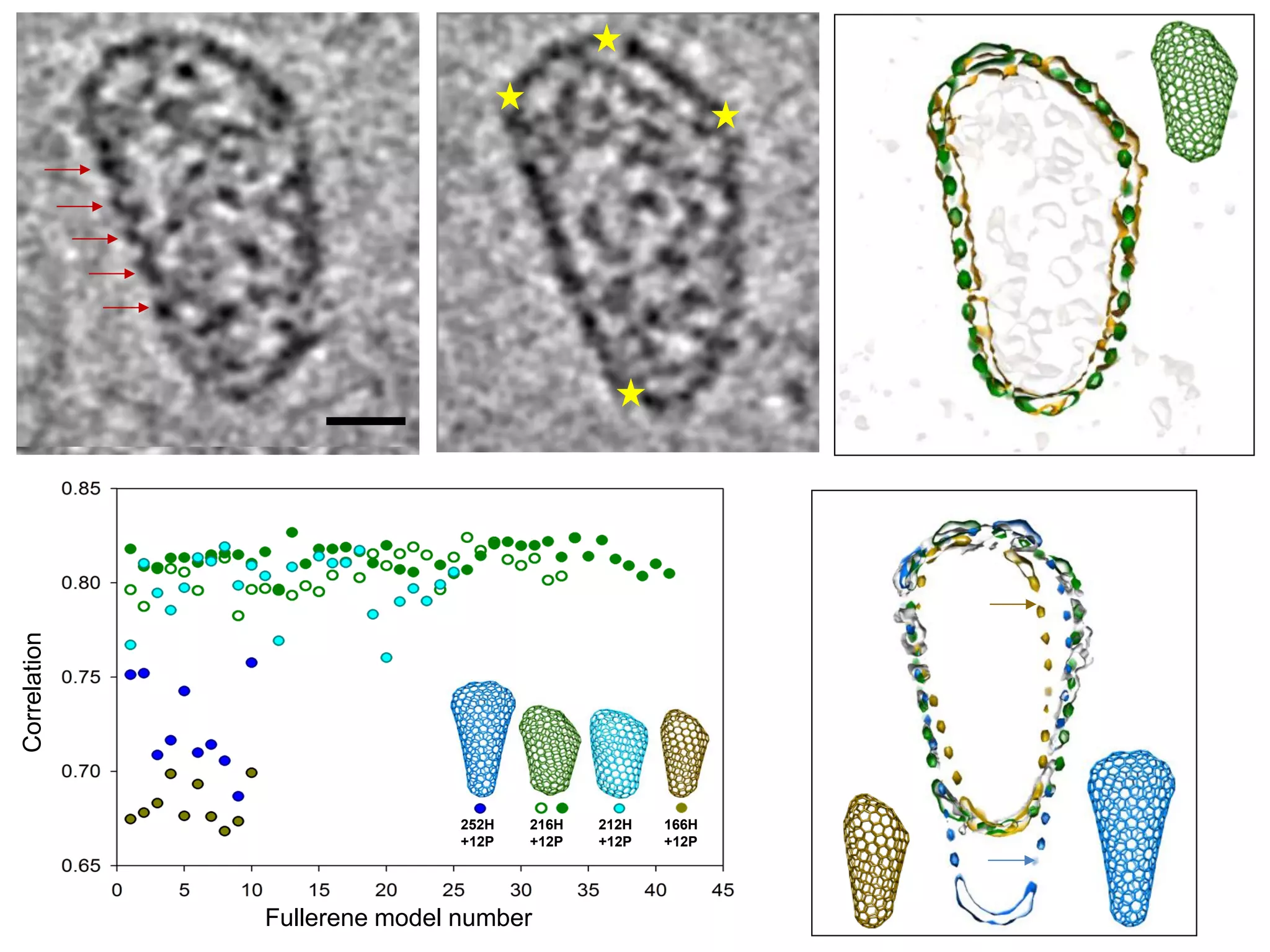 Correlation

252H
+12P

216H
+12P

Fullerene model number

212H
+12P

166H
+12P

 
