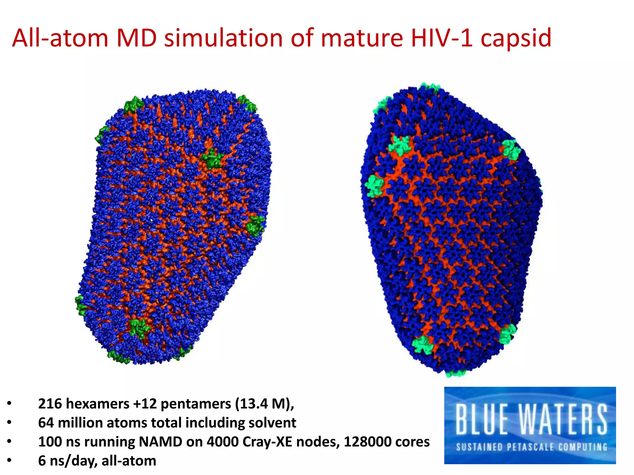 All-atom MD simulation of mature HIV-1 capsid

•
•
•
•

216 hexamers +12 pentamers (13.4 M),
64 million atoms total including solvent
100 ns running NAMD on 4000 Cray-XE nodes, 128000 cores
6 ns/day, all-atom

 