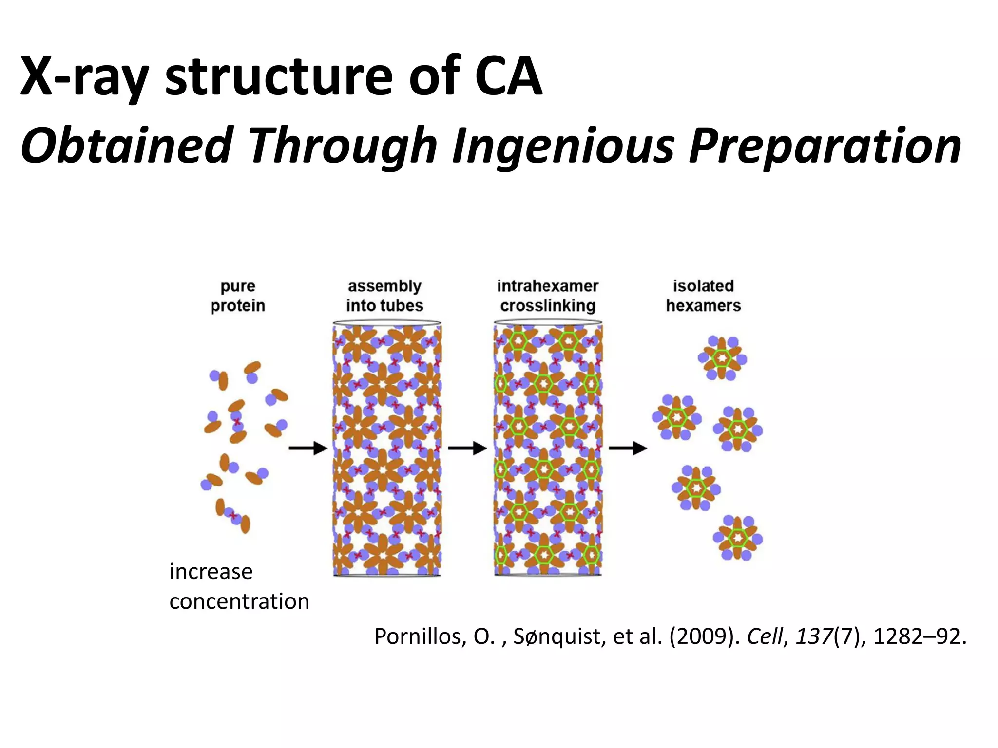 X-ray structure of CA
Obtained Through Ingenious Preparation

increase
concentration

Pornillos, O. , Sønquist, et al. (2009). Cell, 137(7), 1282–92.

 