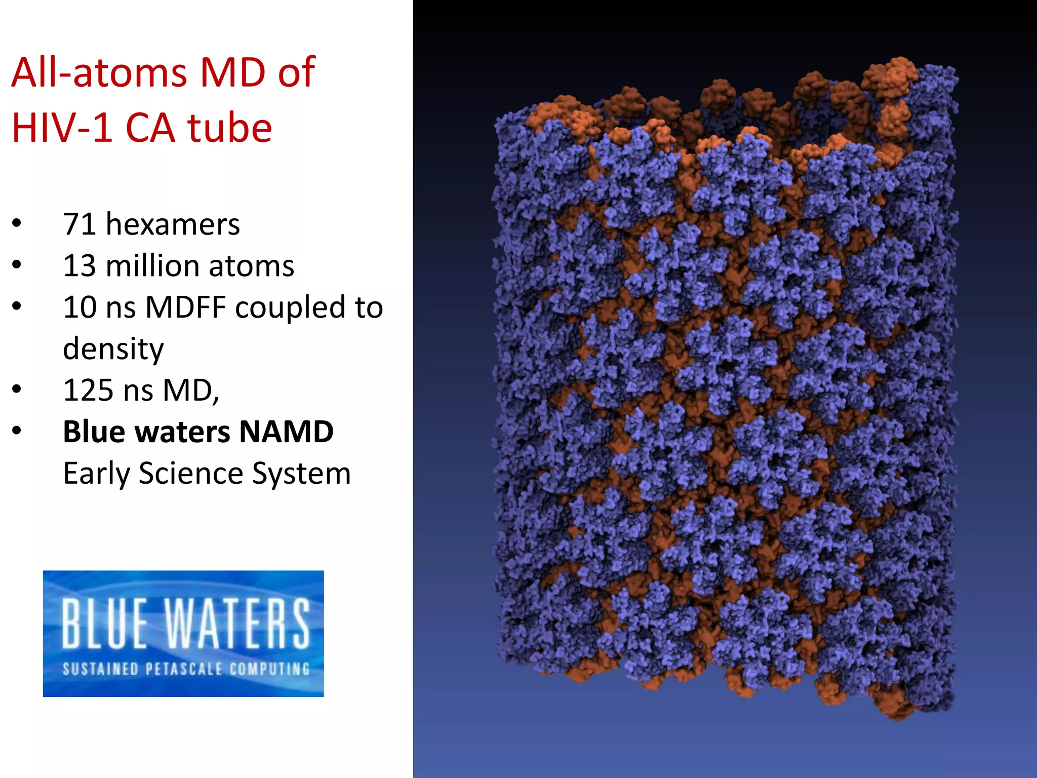 All-atoms MD of
HIV-1 CA tube
•
•
•
•
•

71 hexamers
13 million atoms
10 ns MDFF coupled to
density
125 ns MD,
Blue waters NAMD
Early Science System

 