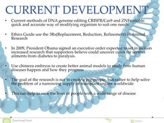 CURRENT DEVELOPMENT
• Current methods of DNA genome editing CRISPR/Cas9 and ZNFs enable
quick and accurate way of modifying organism to suit one needs
• Ethics Guide use the 3Rs(Replacement, Reduction, Refinement) in Animal
Research
• In 2009, President Obama signed an executive order expected to set in motion
increased research that supporters believe could uncover cures for serious
ailments from diabetes to paralysis.
• Use chimera embryos to create better animal models to study how human
diseases happen and how they progress
• The goal of the research is not to create a pig-people, but rather to help solve
the problem of a narrowing supply of transplant organs worldwide
• This can help to save the lives of people with a wide range of disease
 
