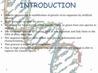 INTRODUCTION
 Genetic engineering is modification of genetic of an organism by artificial
means
 Basic purpose: to alter the genes
 It involves the transferring of the specific traits, or genes from one species to
another
 The technique used is by cutting DNA of one organism and link them to the
DNA of other organism
 The targeted organism then obtain new genetic information and
characteristics
 This process is known as transgenesis
 Due to high similarity in genetic sequences, the targeted animal is able to
express the transfer genes
 