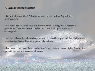 A) Aquadvantage salmon
- Genetically modified Atlantic salmon developed by AquaBonty
technologies
- Purpose: to increase the speed of the fish growth; express higher levels of a
growth hormone than normal salmon
- Contains rDNA construct that is composed of the growth hormone
gene from Chinook salmon under the control of a promoter from
ocean pout
- All the fish are female and reproductively sterile to prevent the GM salmon
from inadvertently breeding with wild salmon
 