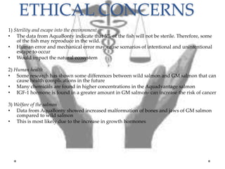 ETHICAL CONCERNS
1) Sterility and escape into the environment
• The data from AquaBonty indicate that 5% of the fish will not be sterile. Therefore, some
of the fish may reproduce in the wild.
• Human error and mechanical error may cause scenarios of intentional and unintentional
escape to occur
• Would impact the natural ecosystem
2) Human health
• Some research has shown some differences between wild salmon and GM salmon that can
cause health complications in the future
• Many chemicals are found in higher concentrations in the Aquadvantage salmon
• IGF-1 hormone is found in a greater amount in GM salmon- can increase the risk of cancer
3) Welfare of the salmon
• Data from AquaBonty showed increased malformation of bones and jaws of GM salmon
compared to wild salmon
• This is most likely due to the increase in growth hormones
 