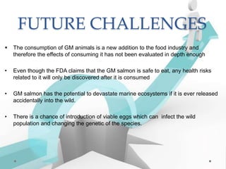 FUTURE CHALLENGES
 The consumption of GM animals is a new addition to the food industry and
therefore the effects of consuming it has not been evaluated in depth enough
• Even though the FDA claims that the GM salmon is safe to eat, any health risks
related to it will only be discovered after it is consumed
• GM salmon has the potential to devastate marine ecosystems if it is ever released
accidentally into the wild.
• There is a chance of introduction of viable eggs which can infect the wild
population and changing the genetic of the species.
 