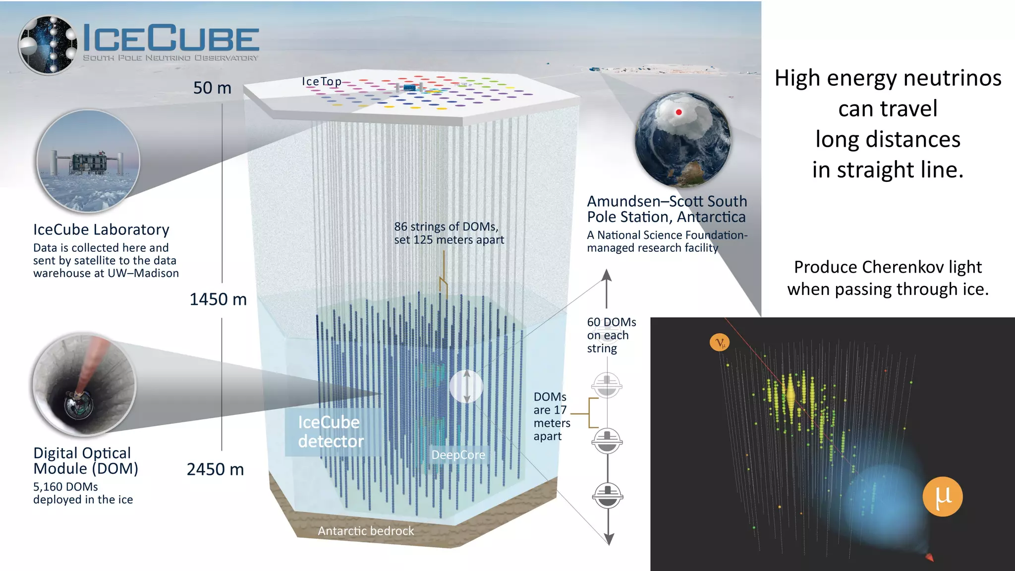 High energy neutrinos
can travel
long distances
in straight line.
Produce Cherenkov light
when passing through ice.
 
