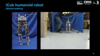 iCub humanoid robot
Almost walking




                      12
 