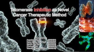 Telomerase Inhibition as Novel
Cancer Therapeutic Method
Presented By :
Aayushree Kharel (0323131)
Bryan Chong Boon Hooi (0323527)
Cynthia Teo Yu Ai (0322550)
Hardeep Kaur (0323338)
Vincensa Nicko Widjaja (0322042)
 