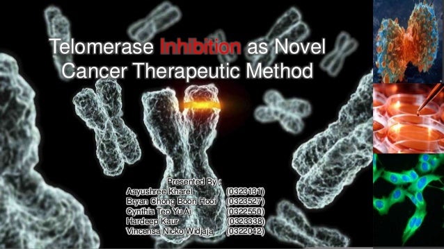 Telomerase Inhibition as Novel Cancer Therapeutic Method Biology Diagrams