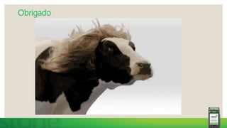 Obrigado
 