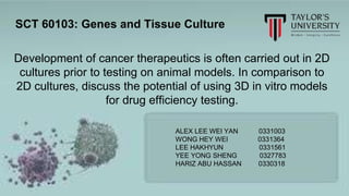 Development of cancer therapeutics is often carried out in 2D
cultures prior to testing on animal models. In comparison to
2D cultures, discuss the potential of using 3D in vitro models
for drug efficiency testing.
SCT 60103: Genes and Tissue Culture
ALEX LEE WEI YAN 0331003
WONG HEY WEI 0331364
LEE HAKHYUN 0331561
YEE YONG SHENG 0327783
HARIZ ABU HASSAN 0330318
 