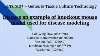 Discuss an example of knockout mouse
model used for disease modeling
Loh Wing How (0327398)
Nathasha Kamurzaman (0320290)
Kan Jun Fai (0327059)
Kirubhan Nadarajan (0327849)
Kesshmita (0328469)
SCT60103 - Genes & Tissue Culture Technology
 