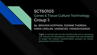 SCT60103
Genes & Tissue Culture Technology
Group 1:
By: BRAVIEN KOFFMAN, JOANNE THERESA,
HARIS URSILAN, VAISNEVEE, VIKNESHWARAN
Topic: A normal cell can be transformed into a cancerous
cell. Discuss the therapeutic strategies that are employed
to target the cellular transformation process for cancer
prevention and treatment.
 