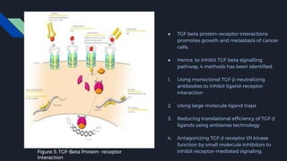 ● TGF beta protein-receptor interactions
promotes growth and metastasis of cancer
cells.
● Hence, to inhibit TGF beta signalling
pathway, 4 methods has been identified:
1. Using monoclonal TGF-β-neutralizing
antibodies to inhibit ligand-receptor
interaction
2. Using large molecule ligand traps
3. Reducing translational efficiency of TGF-β
ligands using antisense technology
4. Antagonizing TGF-β receptor I/II kinase
function by small molecule inhibitors to
inhibit receptor-mediated signaling.Figure 3: TGF-Beta Protein- receptor
interaction
 