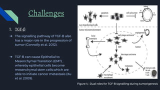 Challenges
➔ The signalling pathway of TGF-B also
has a major role in the progression of
tumor (Connolly et al. 2012).
➔ TGF-B can cause Epithelial to
Mesenchymal Transition (EMT) ,
whereby epithelial cells become
mesenchymal stem cells,which are
able to initiate cancer metastasis (Xu
et al. 2009).
Figure 4 : Dual roles for TGF-B signalling during tumorigenesis
1. TGF-β
 