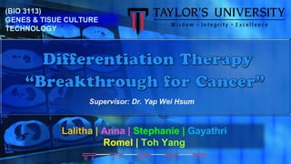 Lalitha | Anna | Stephanie | Gayathri
Romel | Toh Yang
╦╤──╤╤──╤╤──╤╤──╤╤
(BIO 3113)
GENES & TISUE CULTURE
TECHNOLOGY
Supervisor: Dr. Yap Wei Hsum
 