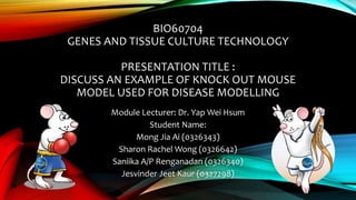 BIO60704
GENES AND TISSUE CULTURE TECHNOLOGY
PRESENTATION TITLE :
DISCUSS AN EXAMPLE OF KNOCK OUT MOUSE
MODEL USED FOR DISEASE MODELLING
Module Lecturer: Dr. Yap Wei Hsum
Student Name:
Mong Jia Ai (0326343)
Sharon Rachel Wong (0326642)
Saniika A/P Renganadan (0326340)
Jesvinder Jeet Kaur (0327298)
 