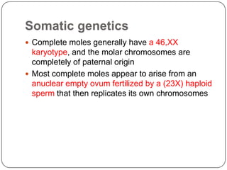 Somatic genetics
 Complete moles generally have a 46,XX
  karyotype, and the molar chromosomes are
  completely of paternal origin
 Most complete moles appear to arise from an
  anuclear empty ovum fertilized by a (23X) haploid
  sperm that then replicates its own chromosomes
 