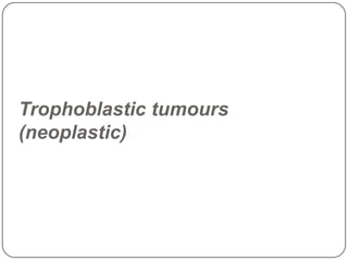 Trophoblastic tumours
(neoplastic)
 