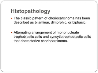 Histopathology
 The classic pattern of choriocarcinoma has been
 described as bilaminar, dimorphic, or biphasic.

 Alternating arrangement of mononucleate
 trophoblastic cells and syncytiotrophoblastic cells
 that characterize choriocarcinoma.
 