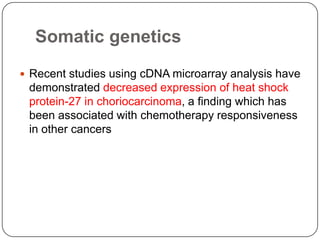 Somatic genetics
 Recent studies using cDNA microarray analysis have
 demonstrated decreased expression of heat shock
 protein-27 in choriocarcinoma, a finding which has
 been associated with chemotherapy responsiveness
 in other cancers
 