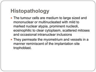 Histopathology
 The tumour cells are medium to large sized and
  mononuclear or multinucleated with mild to
  marked nuclear atypia, prominent nucleoli,
  eosinophilic to clear cytoplasm, scattered mitoses
  and occasional intranuclear inclusions
 They permeate the myometrium and vessels in a
  manner reminiscent of the implantation site
  trophoblast.
 