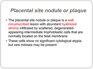 Placental site nodule or plaque
 The placental site nodule or plaque is a well
  circumscribed lesion with abundant hyalinized
  stroma infiltrated by scattered, degenerated-
  appearing intermediate trophoblastic cells that are
  normally located on the fetal membrane
 These cells show no significant cytological atypia,
  but rare mitoses may be present
 