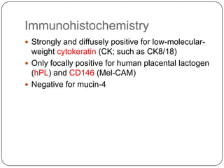 Immunohistochemistry
 Strongly and diffusely positive for low-molecular-
  weight cytokeratin (CK; such as CK8/18)
 Only focally positive for human placental lactogen
  (hPL) and CD146 (Mel-CAM)
 Negative for mucin-4
 