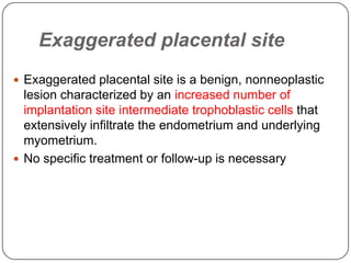 Exaggerated placental site
 Exaggerated placental site is a benign, nonneoplastic
  lesion characterized by an increased number of
  implantation site intermediate trophoblastic cells that
  extensively infiltrate the endometrium and underlying
  myometrium.
 No specific treatment or follow-up is necessary
 