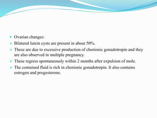  Ovarian changes:
 Bilateral lutein cysts are present in about 50%.
 These are due to excessive production of chorionic gonadotropin and they
are also observed in multiple pregnancy.
 These regress spontaneously within 2 months after expulsion of mole.
 The contained fluid is rich in chorionic gonadotropin. It also contains
estrogen and progesterone.
 