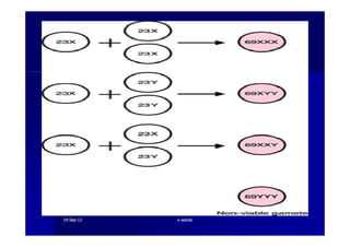 1919--SepSep--1212 o wardao warda
 
