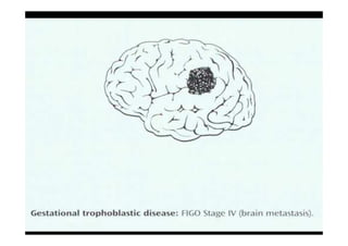 1919--SepSep--1212 o wardao warda
 
