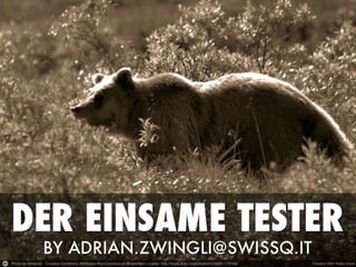 GTD 2013 Adrian Zwingli - Der einsame Tester