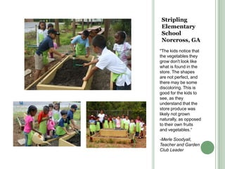 Stripling Elementary SchoolNorcross, GA"The kids notice that the vegetables they grow don't look like what is found in the store. The shapes are not perfect, and there may be some discoloring. This is good for the kids to see, as they understand that the store produce was likely not grown naturally, as opposed to their own fruits and vegetables.“-Merle Soodyall, Teacher and Garden Club Leader