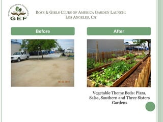 Boys & Girls Clubs of America Garden Launch: Los Angeles, CABeforeAfterVegetable Theme Beds: Pizza, Salsa, Southern and Three Sisters Gardens