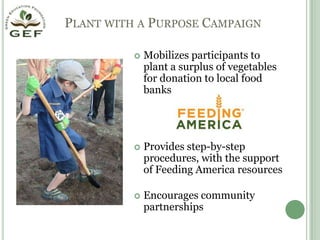 Plant with a Purpose CampaignMobilizes participants to plant a surplus of vegetables for donation to local food banksProvides step-by-step procedures, with the support of Feeding America resourcesEncourages community partnerships
