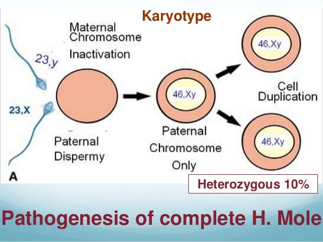 gestational trophoblastic disease