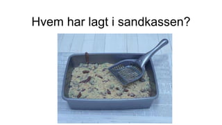 Hvem har lagt i sandkassen?
 