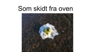 Som skidt fra oven
 