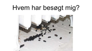 Hvem har besøgt mig?
 