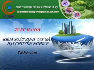 LOGO
TCFC HANOI
KIỂM SOÁT SINH VẬT GÂY
HẠI CHUYÊN NGHIỆP
Tcfchanoi.vn
 